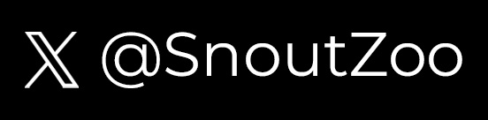 xsnoutzoo